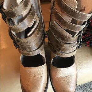 Freebird by Steven clover